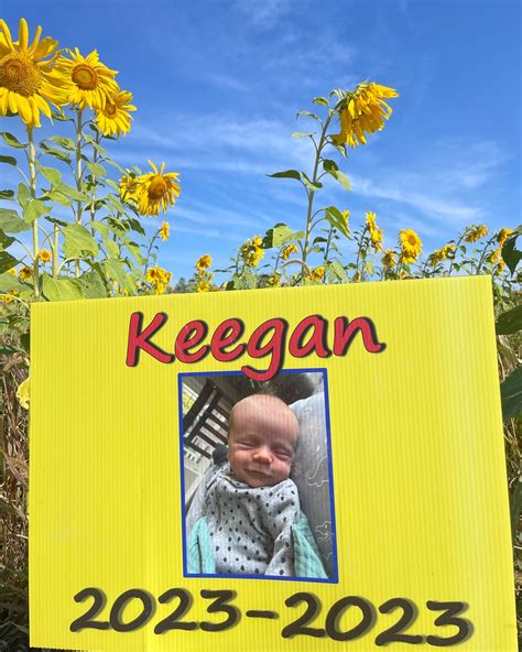 Prayers - "The fields speak to the children who've lost their lives and