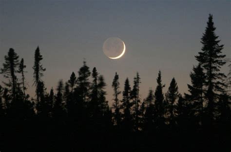 Does the moon get earthlight, like we get moonlight? : r/askscience