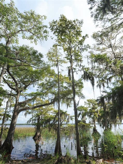 20 BEST Lakes in South Carolina - Lost In The Carolinas