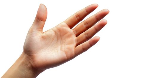 hand outline stock  images  backgrounds