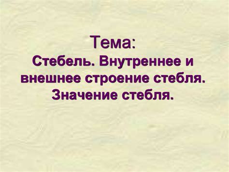 Стебель. Внутреннее и внешнее строение стебля. Значение стебля ...