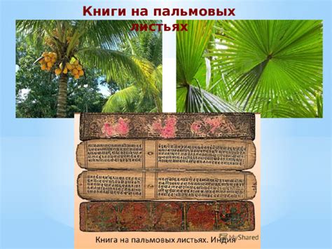 "Эволюция книги" - литература, презентации
