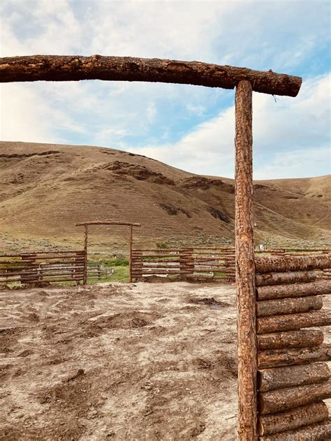 K Moon Equestrian Services, Riding, Clipping and House Sitting added a