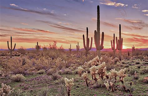 Adult Travel Trailer Association | Wagons West | Tucson