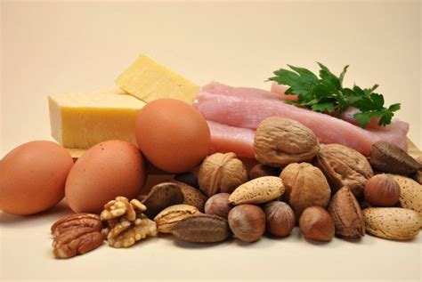 The Importance of Protein - EntheoZen