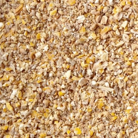 comprehensive chicken feed guide grow chicken