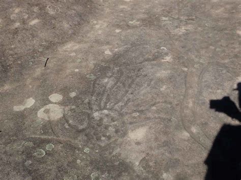 Australian Hiker | Petroglyphs