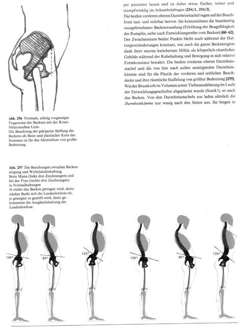 Gottfried Bammes - Die Gestalt Des Menschen - Anatomy & Visual Arts - 2 ...
