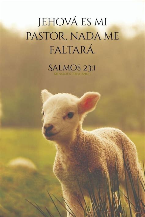 MENSAJES CRISTIANOS ️ Salmos 23:1 | Mensajes cristianos, Frases de ...