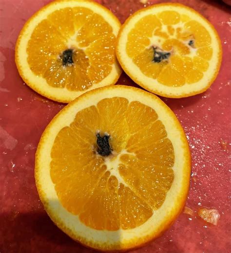 orange black