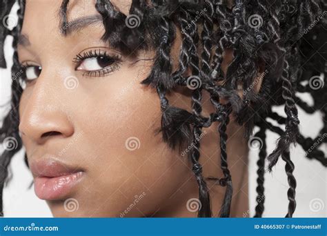 model  braids closeup stock image image  brown