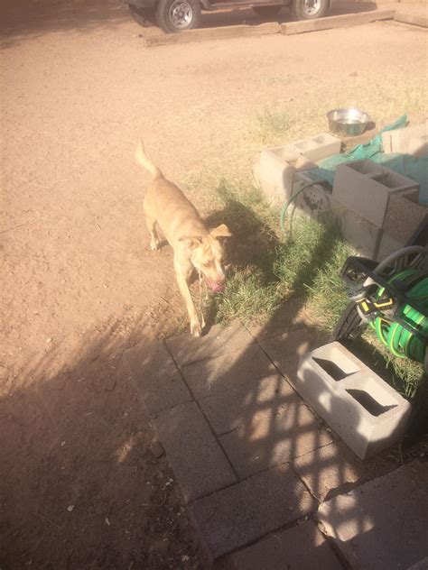 Casa Grande, Arizona