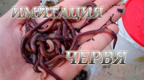 Сделал Навозного Червя! Мормышка-Мушка Навозный Червь - YouTube