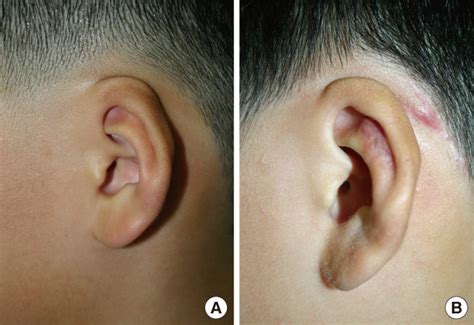 considerations   management  cryptotia based   experience