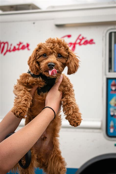 Careers | Thayer Distribution