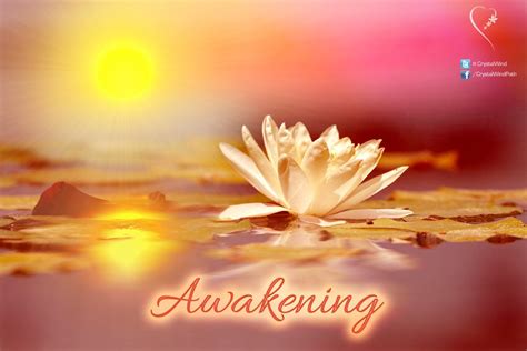 Uncovering God's Presence Amidst the Noise and Distractions | Awakening