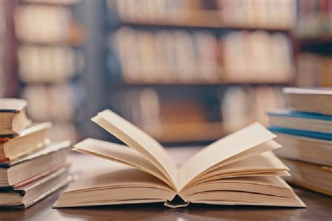 Livros De Yuval Noah Harari - Livros físicos em oferta: obras de Stephen King, Suzanne Collins ...