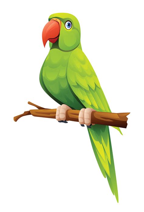 parrot cartoon clipart parrot clip art cartoon png images cbay