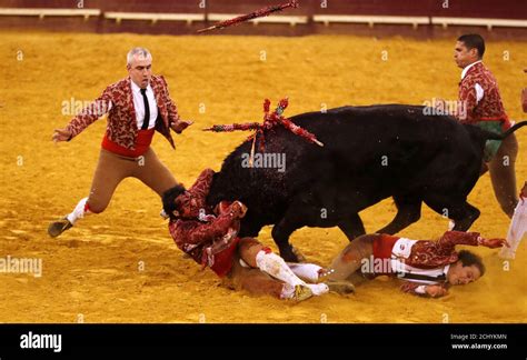 forcados  res stock photography  images alamy