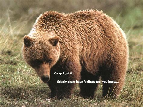 lbs woman returns  normal weight artofit