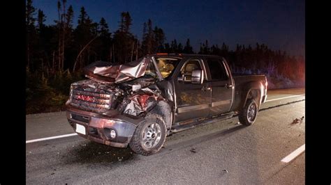 moose vehicle collision   outer ring road thursday july