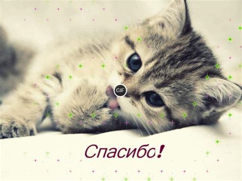 Gif картинка спасибо | Giffs.ru