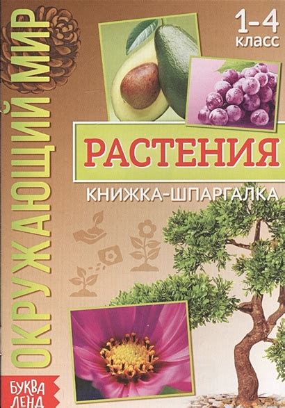 Окружающий мир. Растения. Книжка-шпаргалка для 1-4 класса • , купить по ...