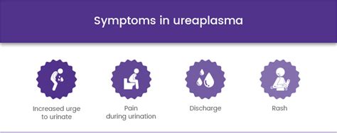 Confidential Ureaplasma Urealyticum Infection Test in Dubai (STD)