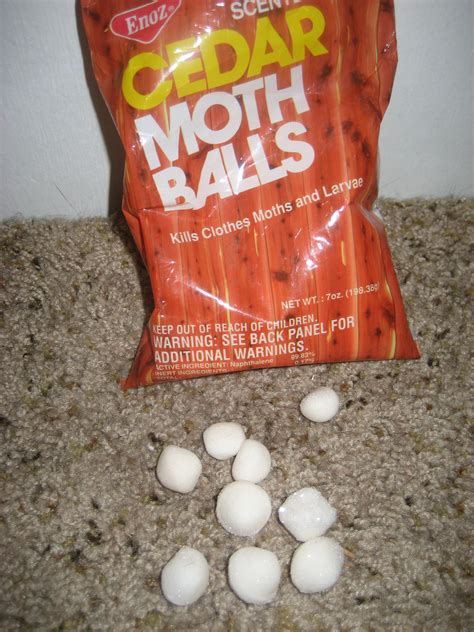 Can You Use Mothballs To Repel Cats at Janice Bowen blog