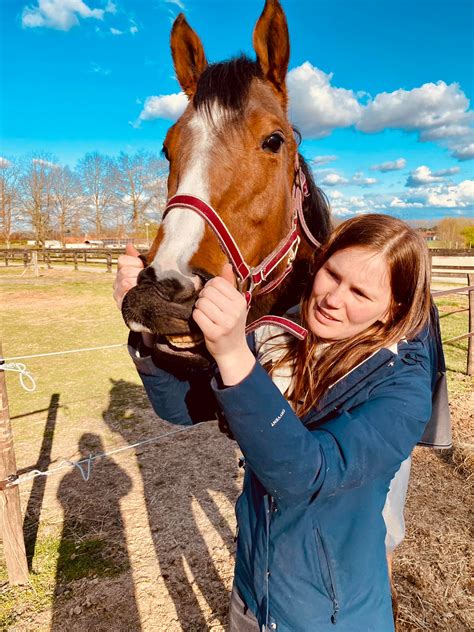 Woodland Stables | Ruddervoorde