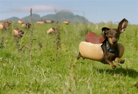 Super Bowl 50 Ads Round-Up