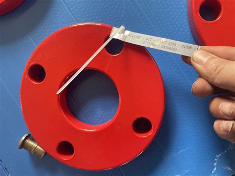 ASTM A105N Epoxy Coated Flange - C&N industrial Group, pipe, fitting