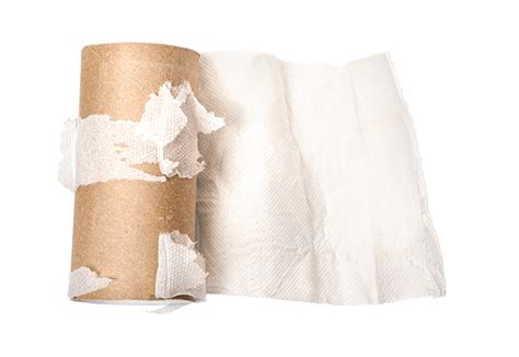 empty towel paper roll  png