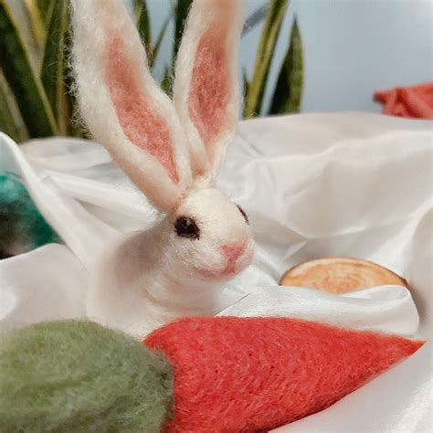 Bunny In Spanish Language 1