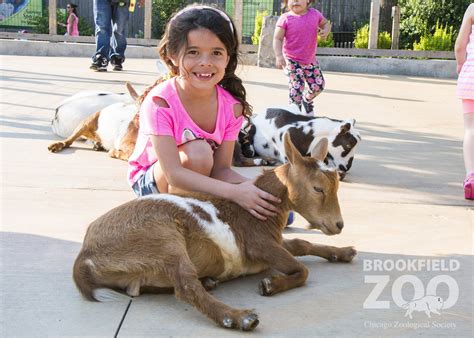 Visit Chicago Southland - Blog: 10 Things to Love About Brookfield Zoo