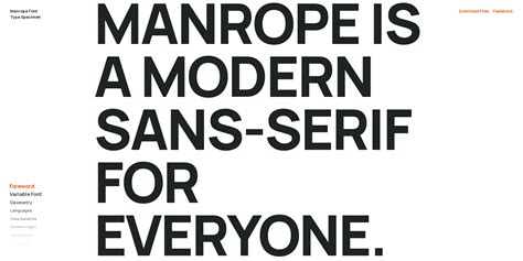 Manrope Font - CSS Winner