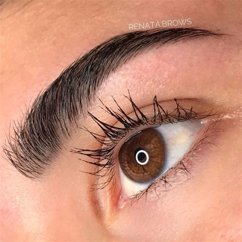 excursion boligrafo tradicional alisado de cejas  tinte creacion