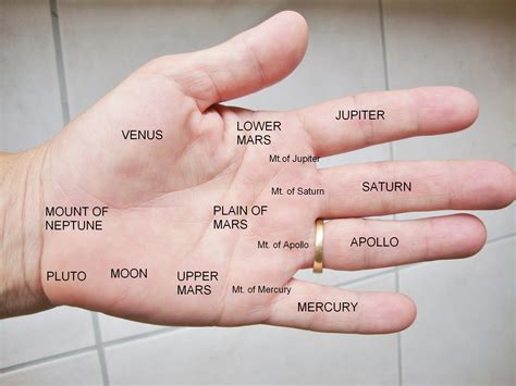 palmistry under ring finger line 5
