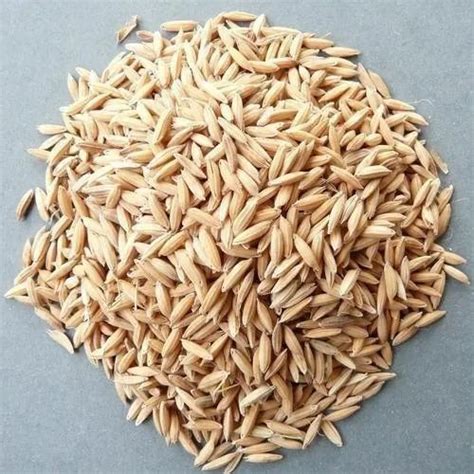 patanjali natural hybrid paddy seed packaging type packet packaging