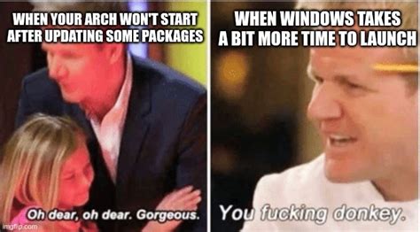 I use Arch btw : r/linuxmemes