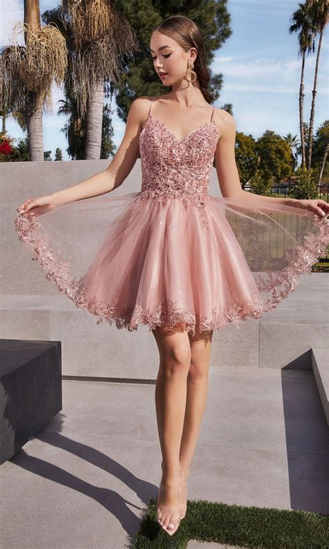 Short Homecoming Dress CD0213 with EmbroideryChampagne / Small