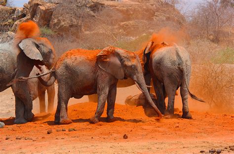 Tsavo National Park - African wilderness tours