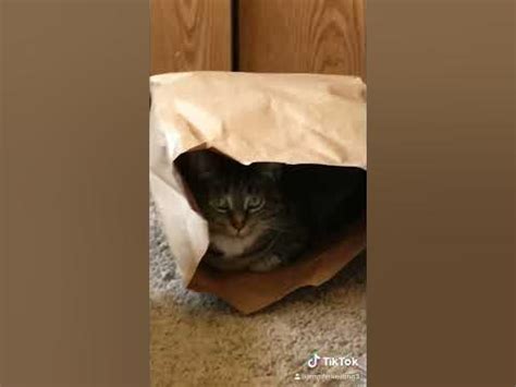 Nala Fitness: Are They Hiding Something in This Leak? - 07e7mtt