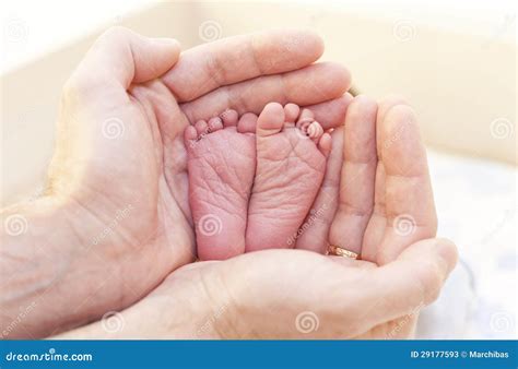 leg   newborn child  stock image image  careful human