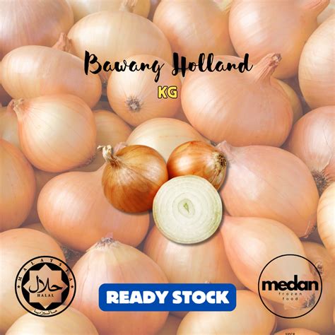 bawang holland kg