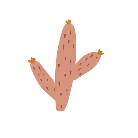 Cute Cactus Graphic 9377294 PNG