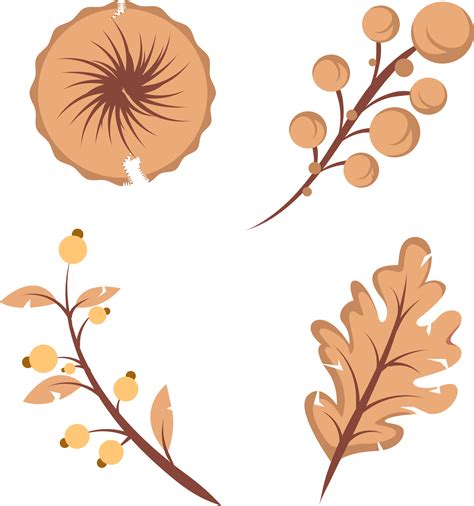 set of dried plant leaves and flower element illustration 13749494 PNG