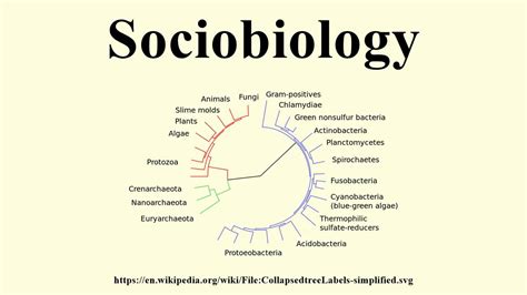 Sociobiology - YouTube
