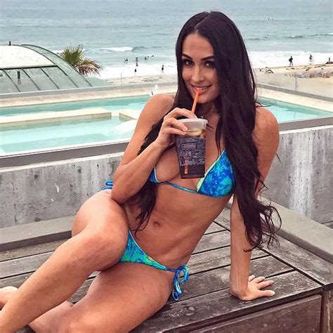Nikki Bella HD Wallpaper (81+ images)