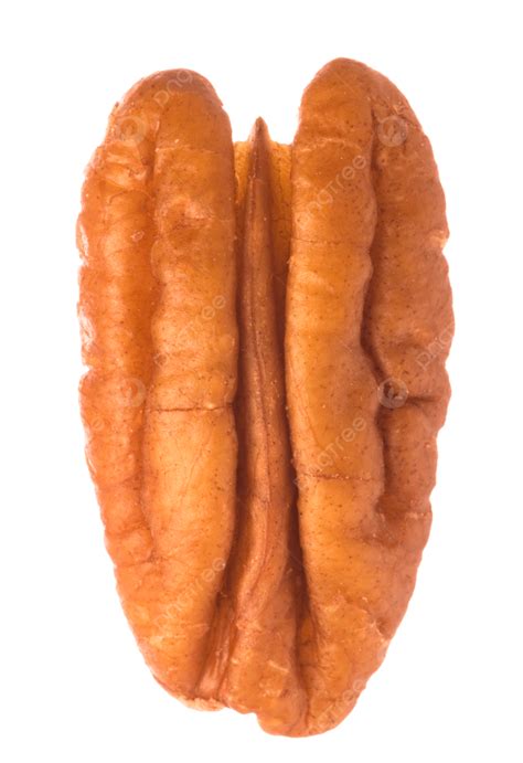Pecan Nut Isolated Closeup, Pecan, Vegetable, Detail PNG Transparent